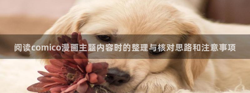免费漫画网站推荐：阅读comico漫画主题内容时的整理与核对思路和注意事项