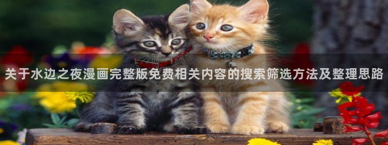 搞笑漫画:关于水边之夜漫画完整版免费相关内容的搜索筛选方法及整理思路
